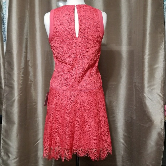 ADELYN RAE Lace Coral Shift Dress - Picture 3 of 6